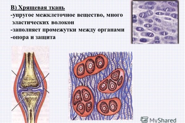 Кракен войти